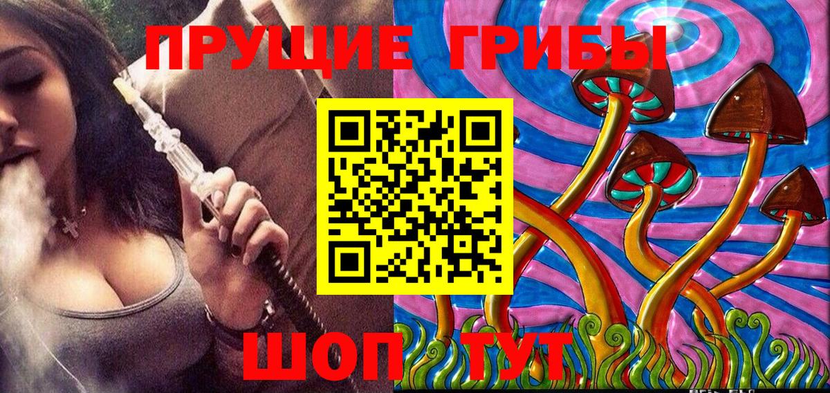 Псилоцибиновые грибы Cubensis Чайковский